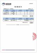 瑞德剛體支吊架檢測報告2